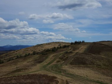 Arkasında bir dağ olan güzel bir manzara.