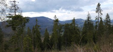 Dağları ve ormanı olan güzel bir manzara.