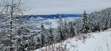 Dağlarda kış manzarası