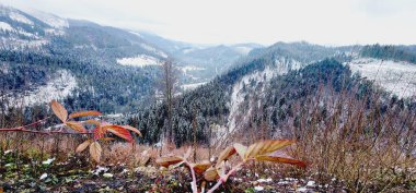 Dağlarda dağları olan güzel bir manzara.