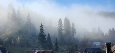 Sabahları dağlı güzel bir manzara.