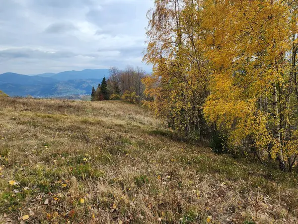 mountain landscape in autumn season