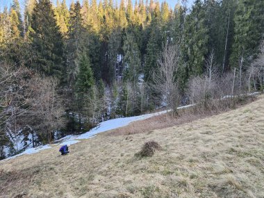 Dağlarda kış manzarası