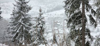 Karla kaplı ağaçlarla kaplı güzel kış manzarası