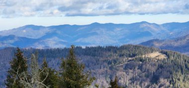 Bir sürü ormanı olan güzel dağ manzarası