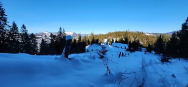 Karlı güzel kış manzarası