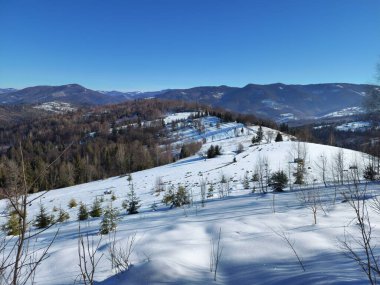 Karlı güzel kış manzarası - ağaçlarla kaplı