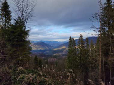 beautiful landscape with mountain in the background