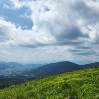 Yeşil orman ve bulutlarla kaplı yaz dağları manzarası