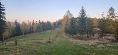 Ormanda güzel bir sonbahar