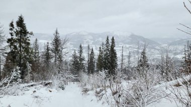 Karla kaplı dağlarla kaplı kış manzarası
