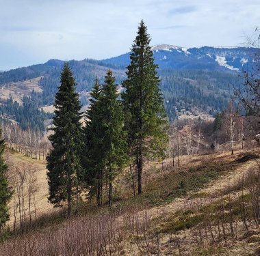 Dağların güzel manzarası