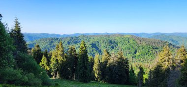 Dağların güzel manzarası