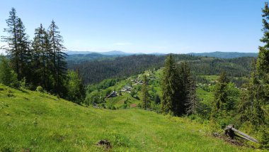 Dağlarda yeşil ormanı olan güzel bir manzara.
