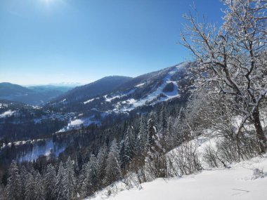 Karla kaplı dağlarla kaplı kış manzarası
