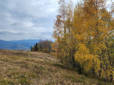 Karpat Dağları 'nın güzel manzarası