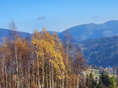 Ukrayna 'daki Karpat Dağları' ndaki güzel dağ manzarası