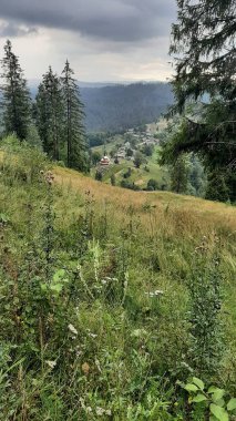 Dağların manzarası