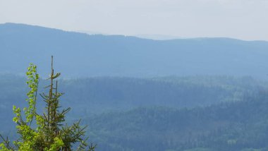 Yeşil orman ve dağlar