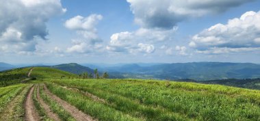 Yeşil çayır ve bulutlu mavi gökyüzü.