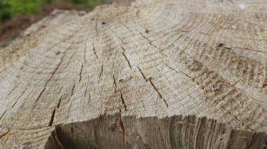 eski ahşap doku arkaplanı