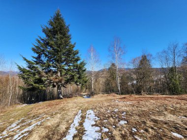 Doğanın güzel manzarası