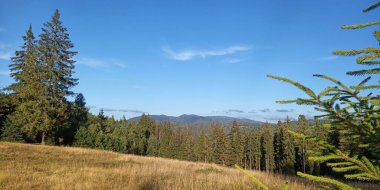 Arkasında bir dağ ve bir ağaç olan güzel bir manzara.
