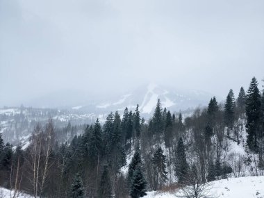 Karla kaplı güzel kış manzarası - Karpatların tepeli dağları