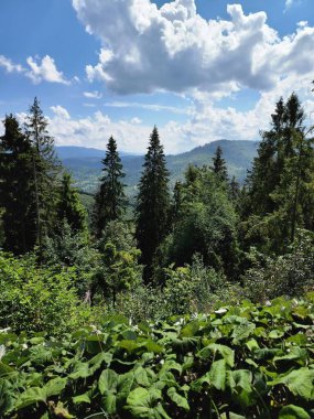 Doğanın güzel manzarası