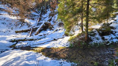 Dağlarda yeşilliklerle çevrili karlı bir kış yolunun dikey görüntüsü.