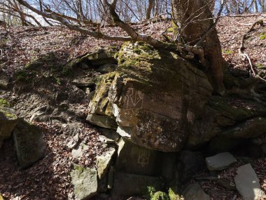 Parktaki eski taş duvar.