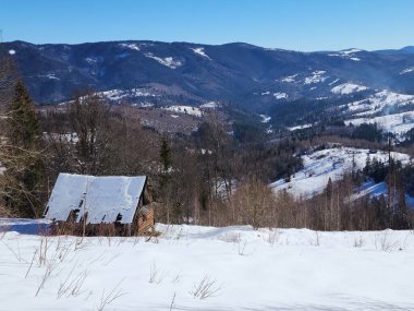 Karla kaplı ağaçlarla kaplı kış manzarası