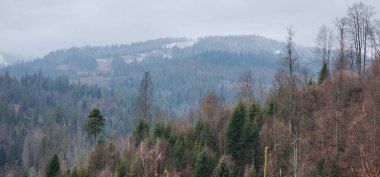 Dağlarla kaplı ormanı olan kış ormanı