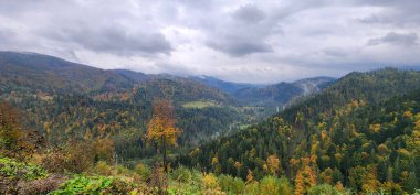 Dağlarda sonbahar manzarası