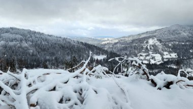 Karla kaplı orman ve dağlarla kaplı kış manzarası.