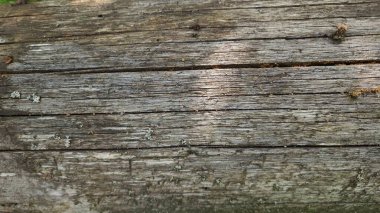 Eski ahşap arka plan. Tahta ahşap dokular, eski tahtalar, doğal arka planlar..