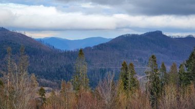 Arkasında bir dağ olan güzel bir manzara.