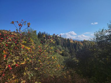 Sonbahar mevsiminde sıradağlar