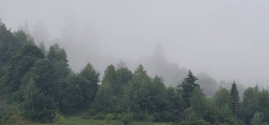 Dağları ve ormanı olan güzel bir manzara.