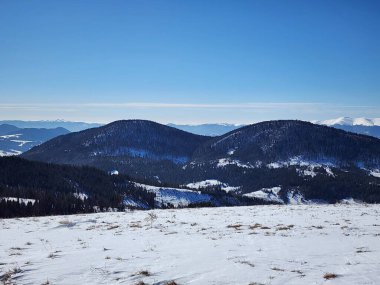 Dağlı ve karlı güzel kış manzarası