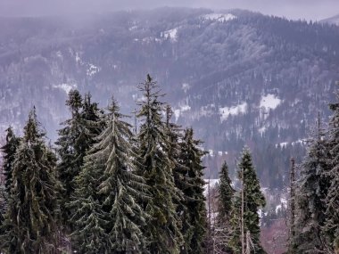 Karlı güzel dağ manzarası