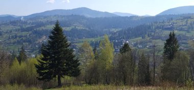 Ukraynalı Karpatların Köyü.