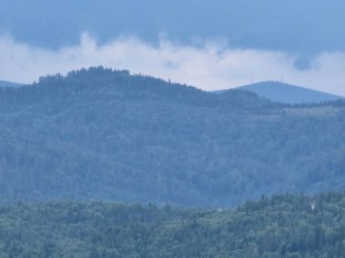 Sabah Ukraynalı Karpatların manzarası