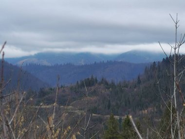 Ağacı ve bulutlu gökyüzü olan güzel bir dağ manzarası.