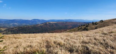 Arkasında orman olan güzel bir dağ manzarası.