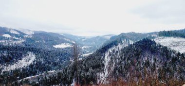 Ağacı ve dağı olan güzel bir manzara.