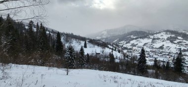 Karla kaplı ağaçlarla kaplı güzel kış manzarası