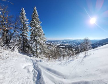 Karpat Dağları 'ndaki kış manzarası