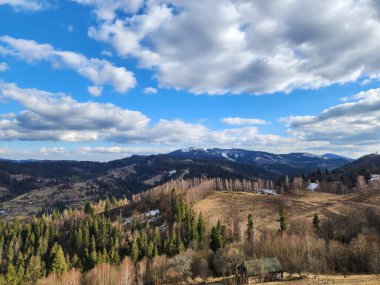Karla kaplı ağaçlarla kaplı kış manzarası