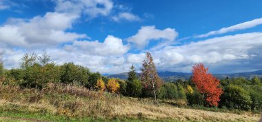 Dağlarda dağları olan güzel bir manzara.